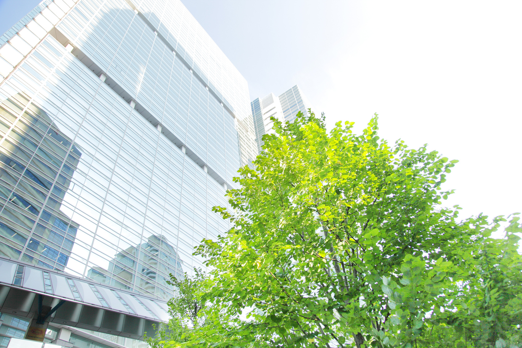 Tokyo trees peek through the trees from an office building